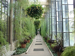 295 Longwood Gardens [2008 August 23]